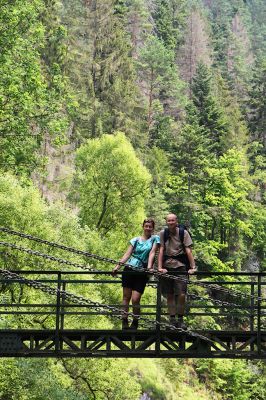 36600295161 35136f5b29 o