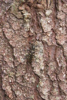 36692173626 73acce9873 o