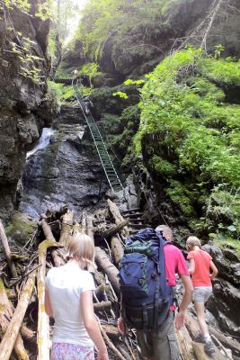 36692507746 5a869e9e98 o