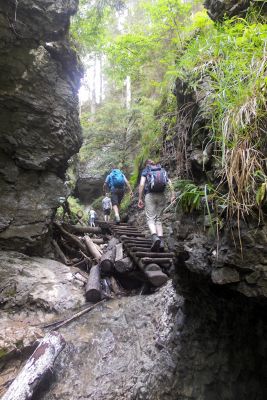 36692572856 9a786cee9f o