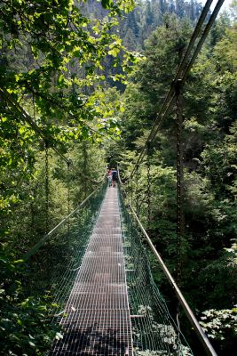 36739210755 5e18e96b96 o