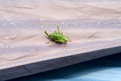 36739221315 b2249ea4c9 o