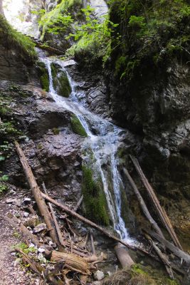 36739558655 4d347e5613 o