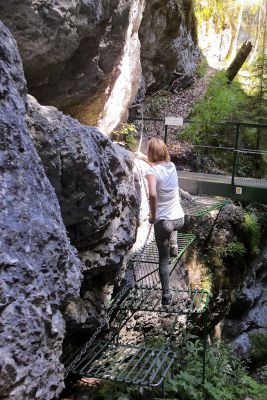 36739565155 d2f23d3a08 o