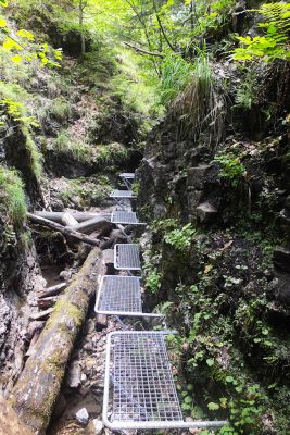 img 2776 35930054753 o