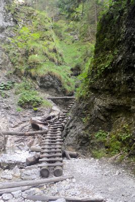 img 2786 36343605030 o