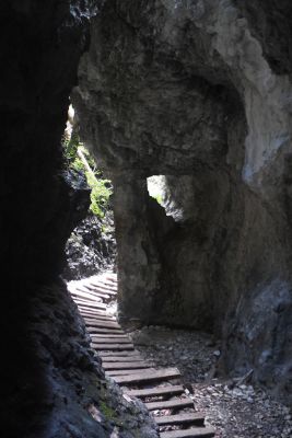 img 2791 36569711692 o