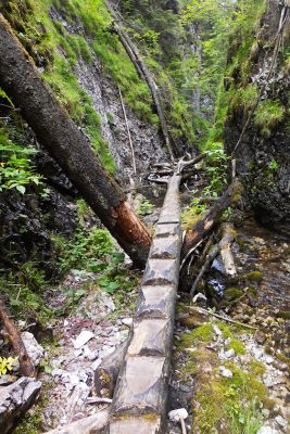 img 2986 35905104154 o