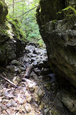 img 3009 36569636342 o