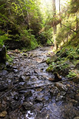 img 3013 36569634132 o