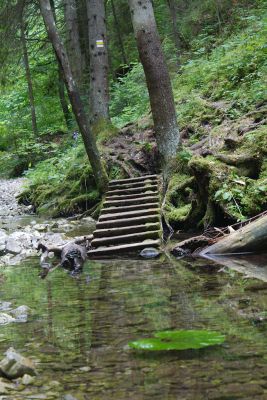 img 8210 36739173895 o