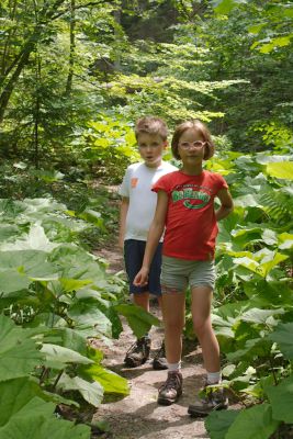 img 8233 35929614543 o