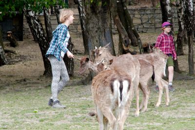 29372137697 aff4b91bb7 o