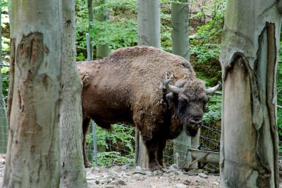 30441150098 353a8951c0 o