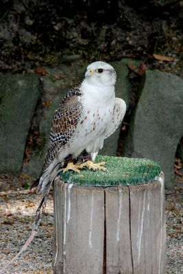 30441152038 43aa73ac06 o