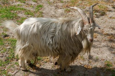 30441153258 8657233445 o