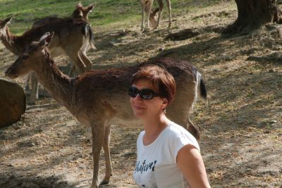 30441154008 92fe632b71 o