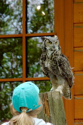 30441154378 75527d6850 o