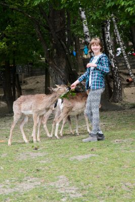 42500314120 51feb4f75b o