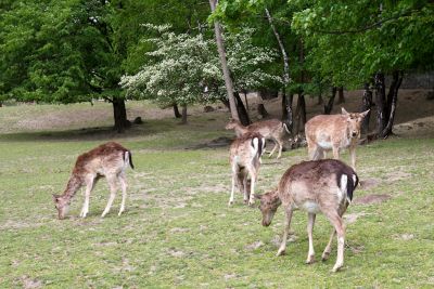 42500314620 7e08ddedfe o