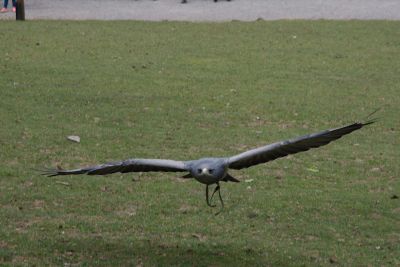 42500322220 82b30e57f9 o