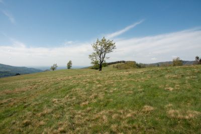 Beskid Śląski, maj 2018