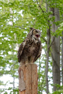 44260239982 2e93c23596 o