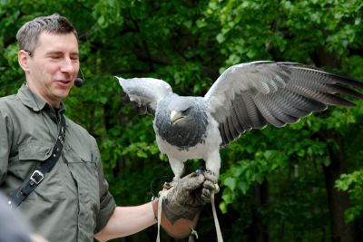 44260240662 d43a8a729d o