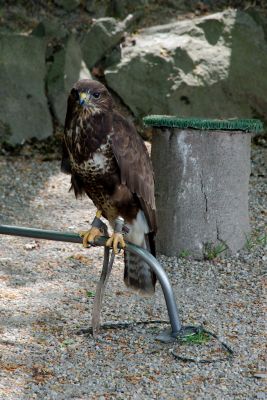 44260241332 d7ebea70fb o