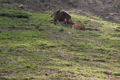 44260244982 d9ae642f56 o