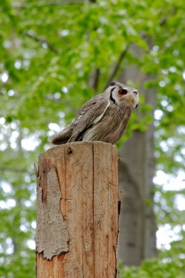 44308079751 2eac35be2f o