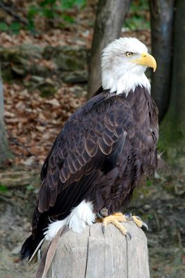 44308080531 be68f1f7f8 o