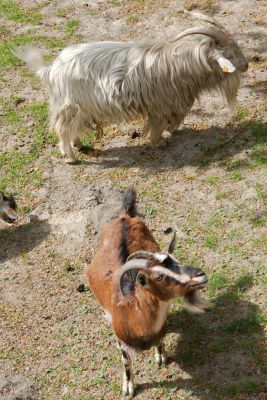 44308081481 883d7b88dc o