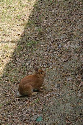 44308082191 ca6c5a156f o