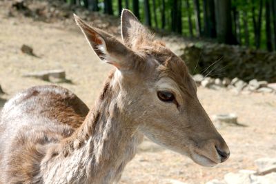 44308082491 60f9e36b3c o