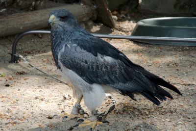 44308084421 853c44379a o