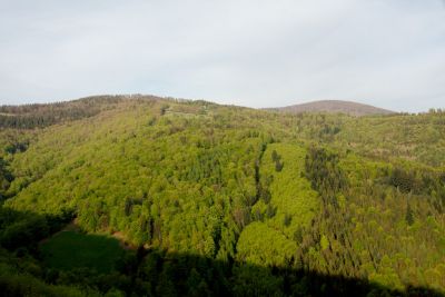 44308086481 285751ccd8 o