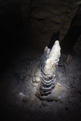 2018 07 12T12 34 27 IMG 0048