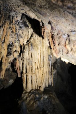 2018 07 12T12 46 06 IMG 1031