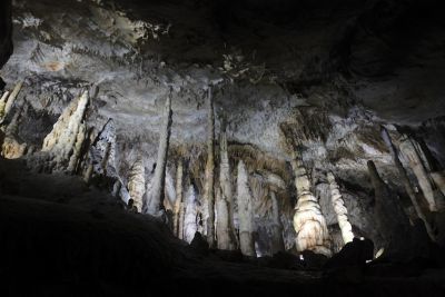 2018 07 12T12 47 39 IMG 0080