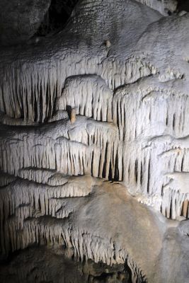 2018 07 12T12 49 11 IMG 0086