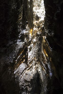 2018 07 12T12 49 40 IMG 0088