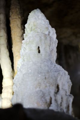 2018 07 12T12 58 17 IMG 1037