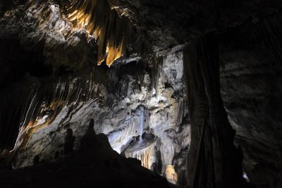 2018 07 12T12 58 53 IMG 0095