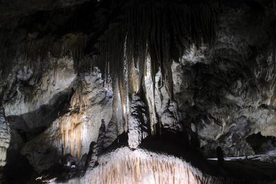 2018 07 12T13 00 39 IMG 0097