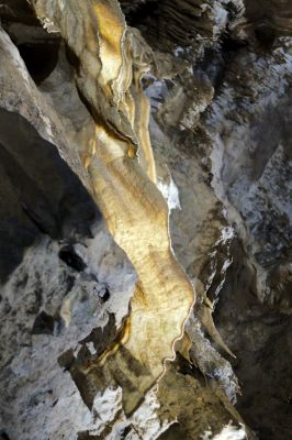 2018 07 12T13 02 52 IMG 1042