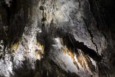 2018 07 12T13 06 31 IMG 0109