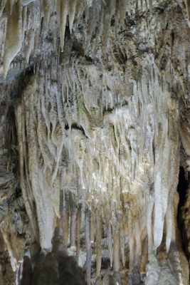 2018 07 12T13 17 11 IMG 1049