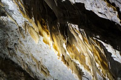 2018 07 12T13 17 30 IMG 1051