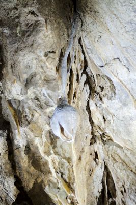 2018 07 12T13 18 03 IMG 1052